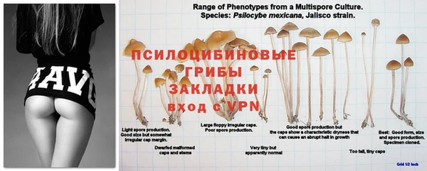 бошки Лабытнанги