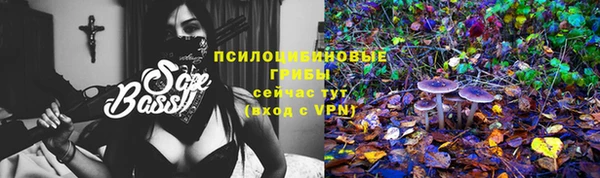 молекула духа Великий Новгород